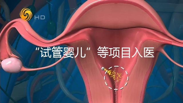 “試管嬰兒”等項目入醫(yī)保能如期落地嗎?廣西回應(yīng)