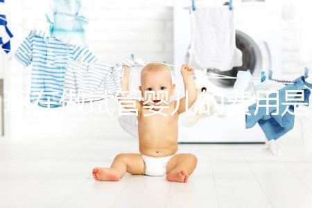 現(xiàn)在做試管嬰兒的費(fèi)用是多少