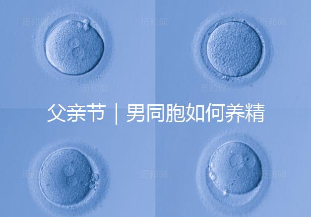 父親節｜男同胞如何養精蓄銳，一發即中？
