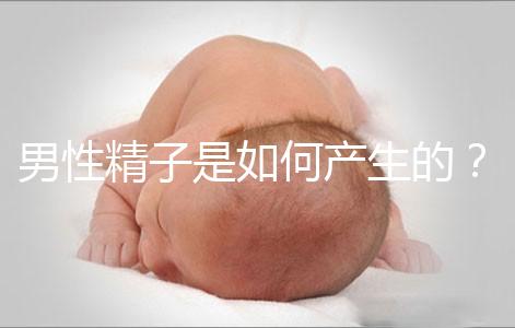 男性精子是如何產(chǎn)生的?