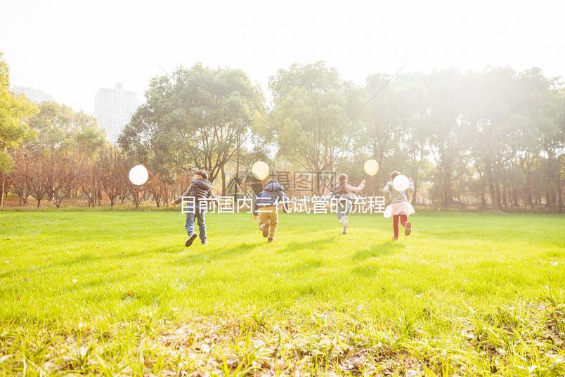 目前國內三代試管的流程是怎樣？