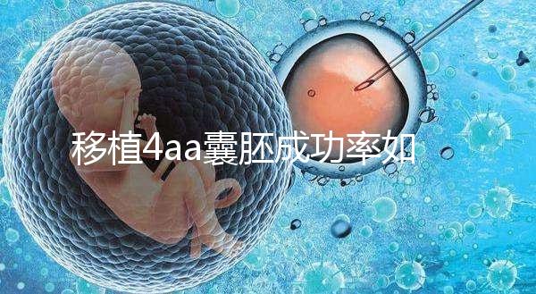 移植4aa囊胚成功率如何？細說質(zhì)量等級讓你助孕更安心