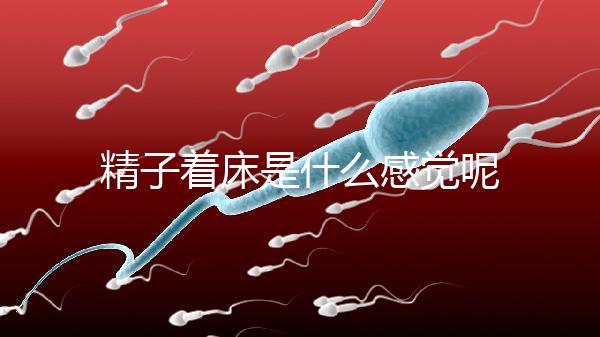 精子著床是什么感覺呢