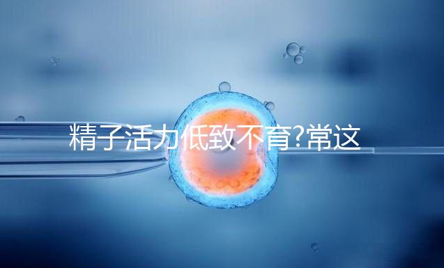 精子活力低致不育?常這吃4種食物讓你更快當(dāng)上準爸爸!