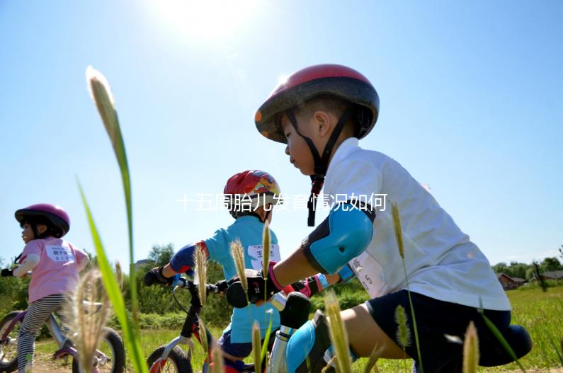 十五周胎兒發(fā)育情況如何？