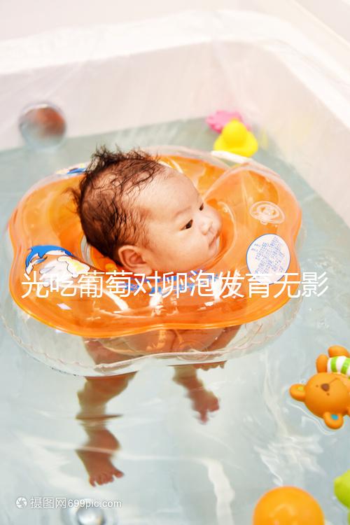 光吃葡萄對(duì)卵泡發(fā)育無影響,不妨試試葡萄籽(附對(duì)卵巢好處)