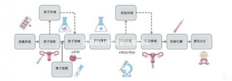 全國最出名試管醫(yī)院排名是怎樣的?附目前全國較好的試管醫(yī)院介紹!