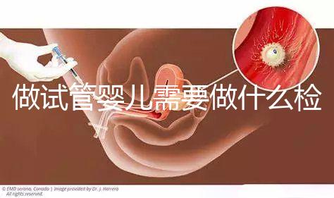 做試管嬰兒需要做什么檢查多少錢(做試管嬰兒需要做什么檢查多少錢一次)