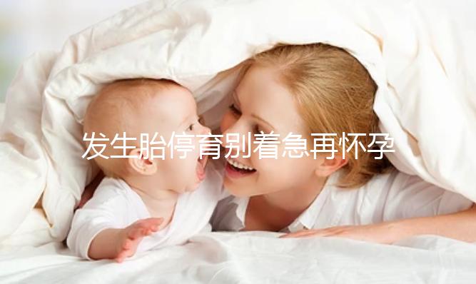 發生胎停育別著急再懷孕，最起碼得要過這么久...