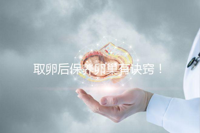 取卵后保養(yǎng)卵巢有訣竅！7種方法助你快速恢復(fù)