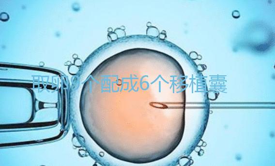 取卵9個配成6個移植囊胚成功率不高？專家：做三代試管夠了