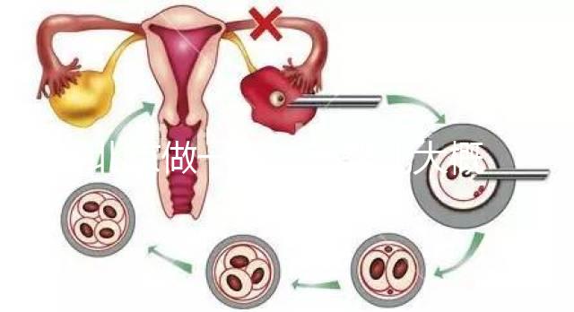 北京做一次試管嬰兒大概花多少錢？2025年價格及明細清單一覽！