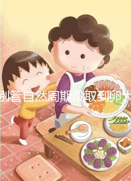 別管自然周期沒取到卵大夫當(dāng)時(shí)會(huì)不會(huì)說了，沒通知這么辦