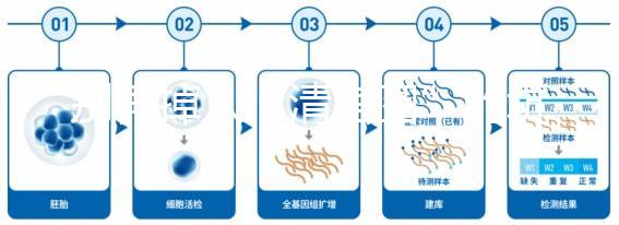 別再掉入“清宮圖”的坑中!備孕不應錯過女性最佳生育年齡