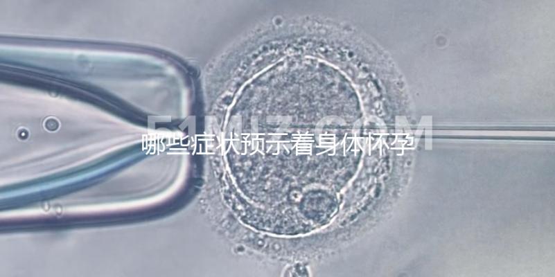 哪些癥狀預(yù)示著身體懷孕了