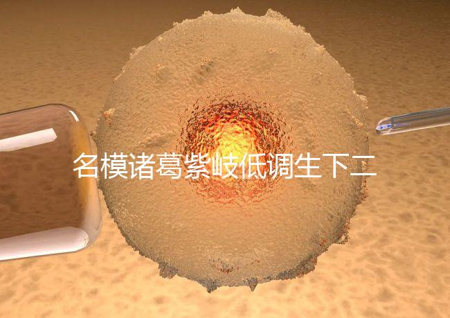 名模諸葛紫岐低調生下二胎，孕7個月肚子扁平成焦點