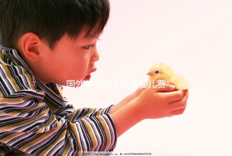 國外單身做個試管嬰兒費用大概要多少？