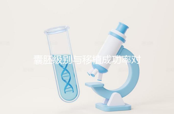 囊胚級別與移植成功率對照表：級別越高成功率越高嗎？