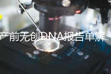 產(chǎn)前無創(chuàng)DNA報告單解讀:三項結(jié)果竟然暗示寶寶性別