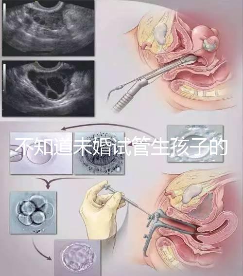 不知道未婚試管生孩子的父親是否有責任在一分鐘內解釋這些影響