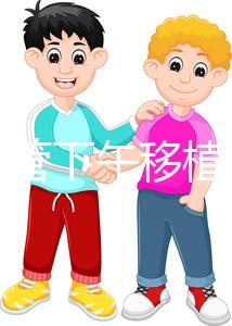 不懂試管下午移植上午要不要請假速覽，何時開始一看便知