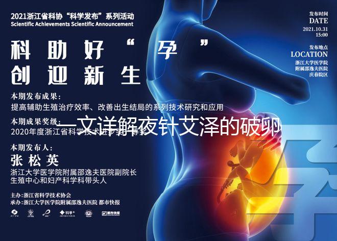 一文詳解夜針艾澤的破卵成功率，60s弄清跟絨促誰(shuí)更高