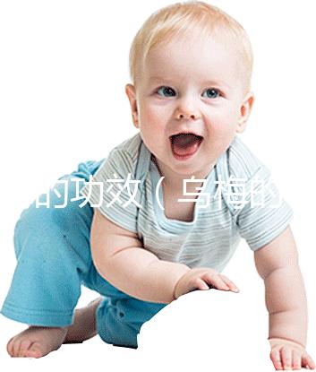 烏梅的功效(烏梅的功效與作用的功能與主治)