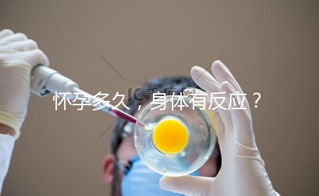 懷孕多久，身體有反應？