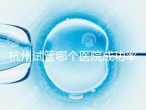 杭州試管哪個醫(yī)院成功率高？3代試管好醫(yī)院有2家，費用明細一覽！