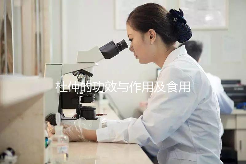 杜仲的功效與作用及食用方法(杜仲的正確吃法)