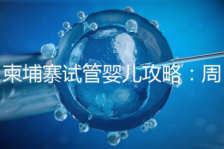 柬埔寨試管嬰兒攻略：周期和時間規劃全解析！