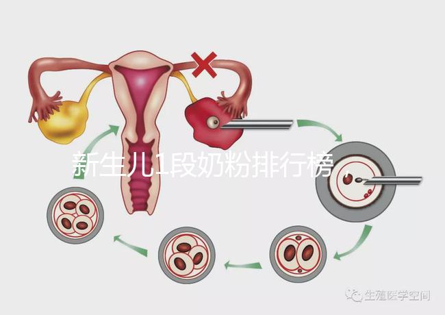 新生兒1段奶粉排行榜，口碑好、價格實惠的品牌紛紛上榜