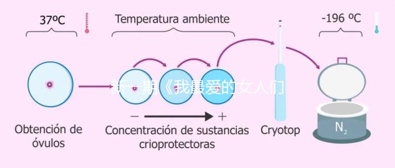 新一期《我最愛的女人們》，蔡少芬自曝第一胎曾小產