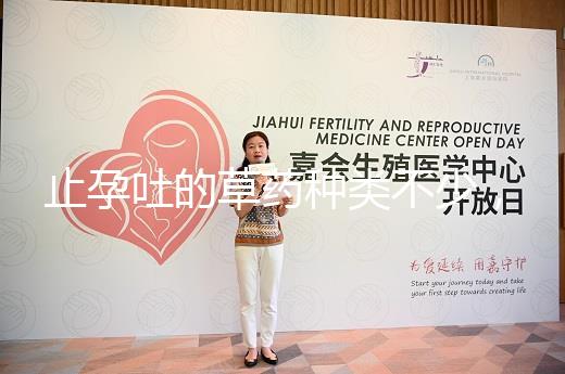 止孕吐的草藥種類不少，胡椒草、半夏…幫你輕松渡過孕早期