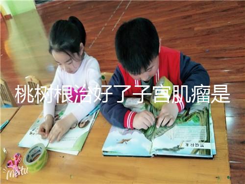 桃樹根治好了子宮肌瘤是謠言？和豬肉一起吃效果真不賴