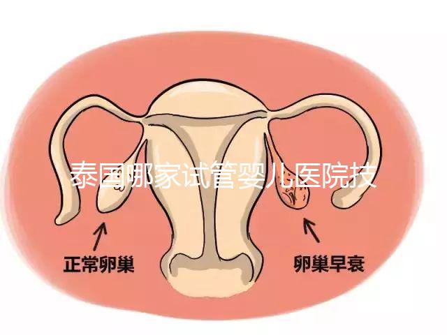 泰國(guó)哪家試管嬰兒醫(yī)院技術(shù)好？這些醫(yī)院排名前三