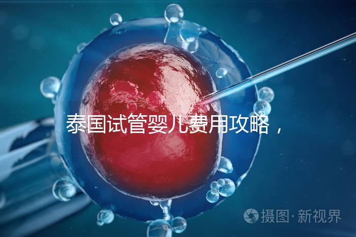 泰國試管嬰兒費用攻略,2025年詳細(xì)預(yù)算指南