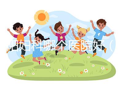 沈陽(yáng)婦科哪個(gè)醫(yī)院好（沈陽(yáng)婦科最好的三個(gè)醫(yī)院）