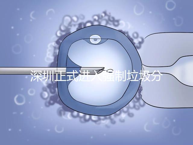 深圳正式進入強制垃圾分類時代，不分類最高被罰50萬!