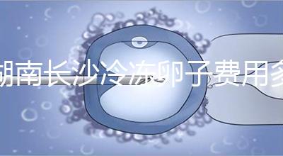 湖南長沙冷凍卵子費用多少？中信湘雅盧光琇教授這樣說...