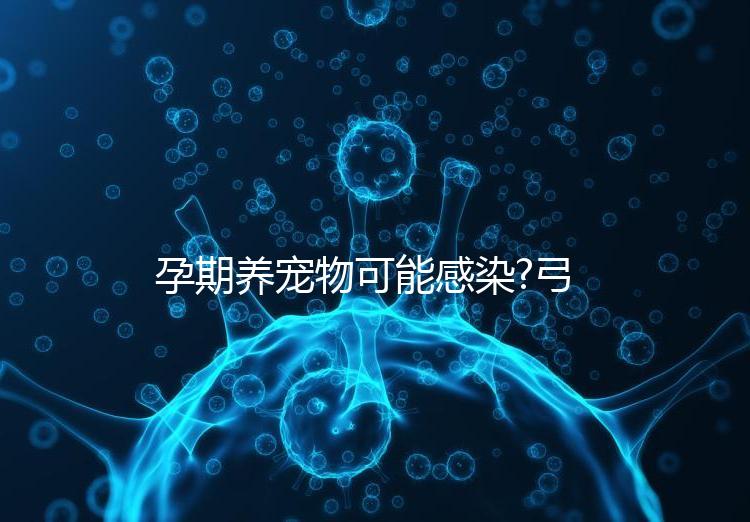 孕期養寵物可能感染?弓形蟲病的傳播途徑主要有這些