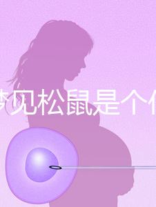 孕婦夢見松鼠是個(gè)什么樣的胎夢?相關(guān)寓意解讀