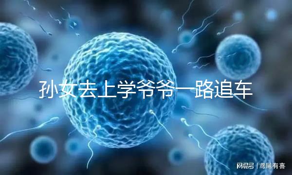 孫女去上學(xué)爺爺一路追車告別,網(wǎng)友:上了年紀淚點更低了