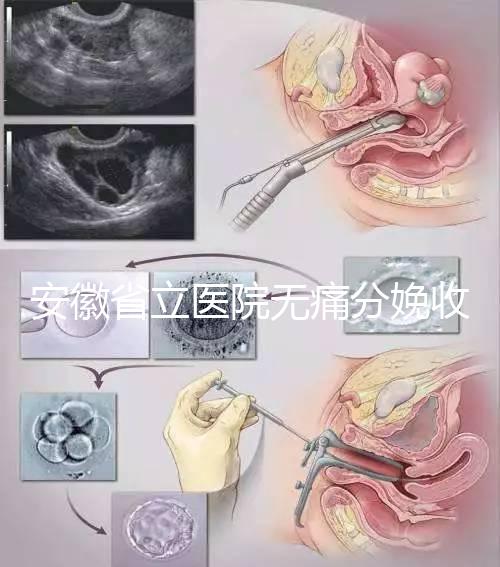 安徽省立醫院無痛分娩收費標準，過來人經歷告訴你怎么樣