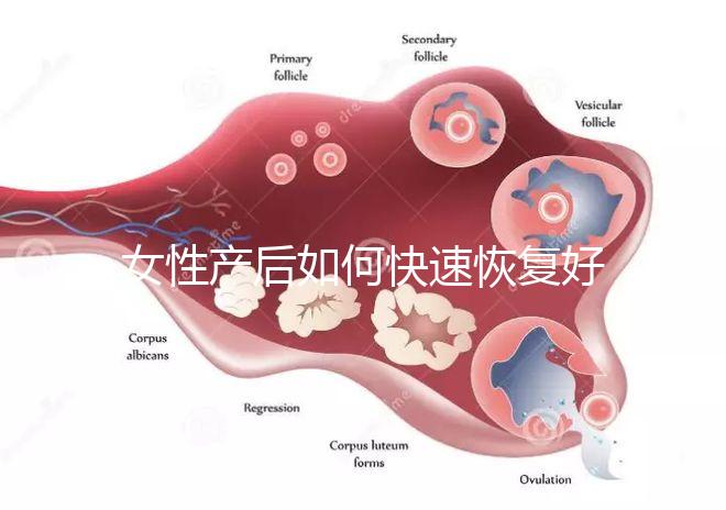 女性產后如何快速恢復好身材?