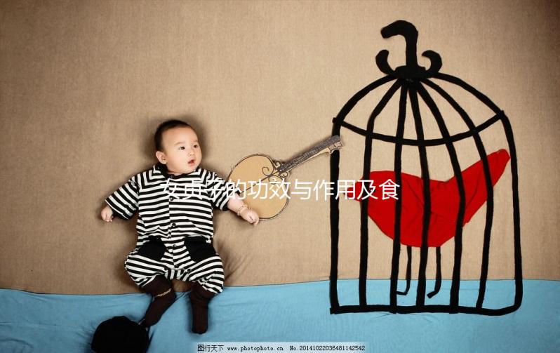 女貞子的功效與作用及食用方法（女貞子會讓雌激素增高嗎）