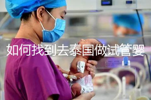 如何找到去泰國做試管嬰兒的本地翻譯？內(nèi)部搜索可靠的本地翻譯方法分析