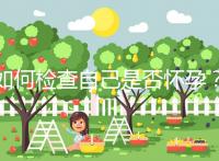 如何檢查自己是否懷孕？