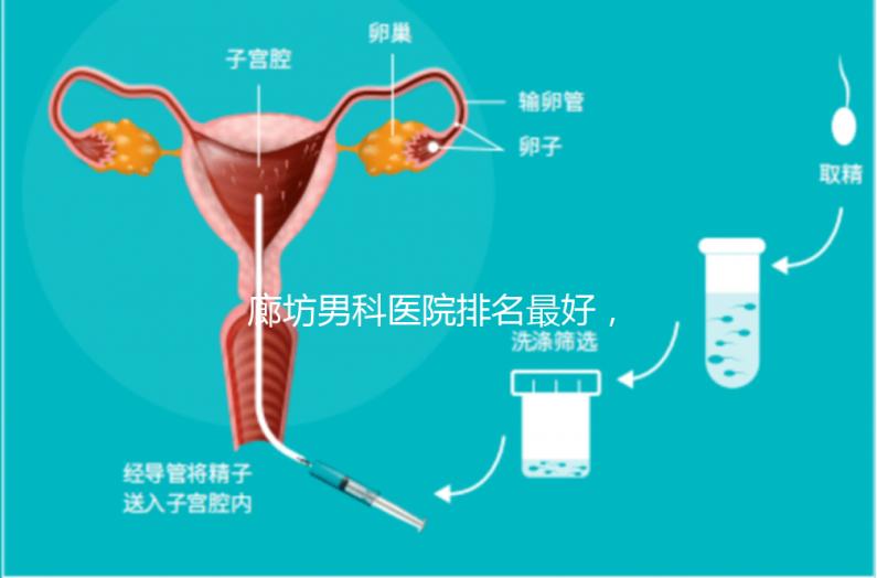 廊坊男科醫院排名最好,醫院出爐!廣陽這些機構可以排隊