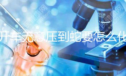 開車無意壓到蛇要怎么化解進(jìn)來瞧，要不要報(bào)警一目了然